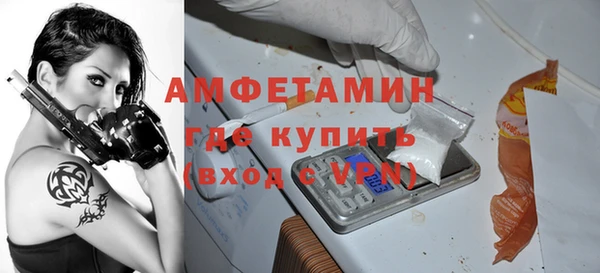 молекула духа Няндома