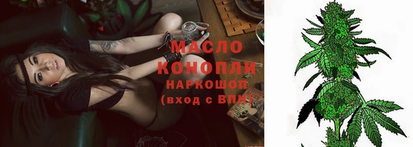молекула духа Няндома