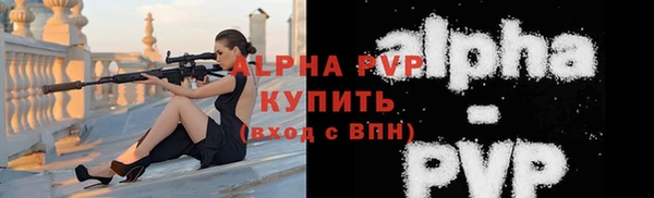 индика Красавино