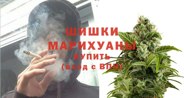 молекула духа Няндома